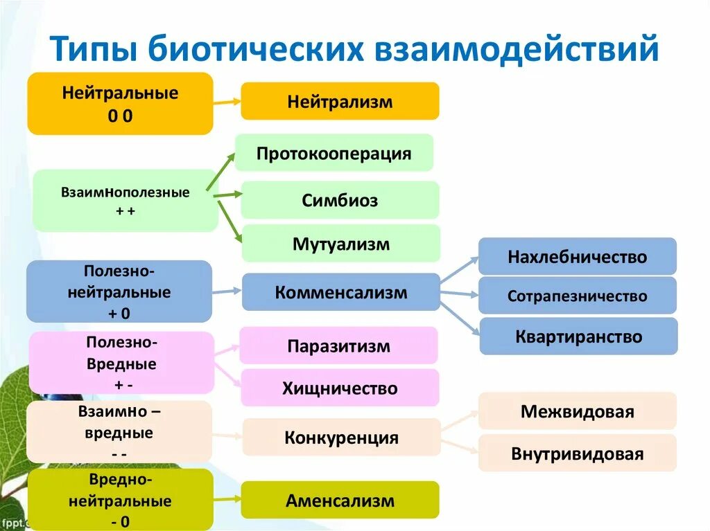 Какие биотические связи. Типы взаимодействия между живыми организмами схема. Типы взаимоотношений организмов схема. Виды взаимоотношений между организмами схема. Формы взаимоотношений между организмами схема.