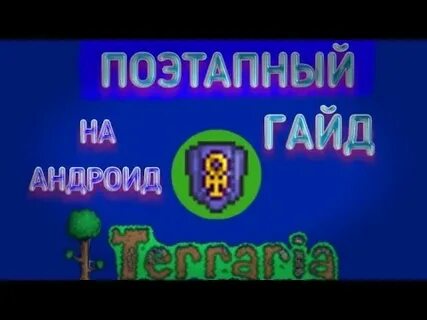 Террария щит анха
