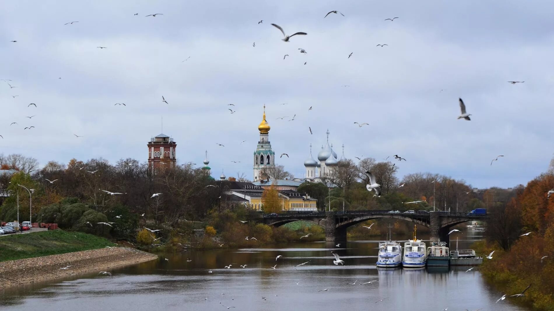 В вологде на 10 дней. Река Вологда. Река Вологда в ноябре. Река Вологда грязная. Вологда в ноябре фото.