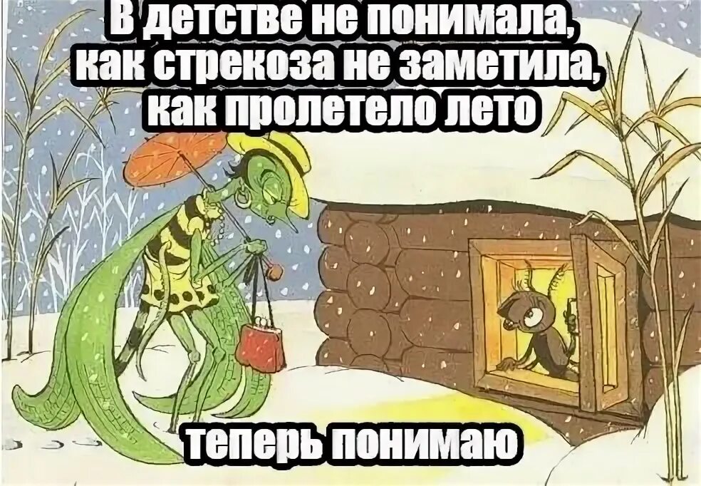 Я даже не заметила как была. Лето пролетело. лето пролетело приколы. не понимала как стрекоза не заметила как пролетело лето. лето быстро пролетело.