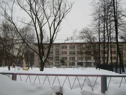Коррекционные школы спб