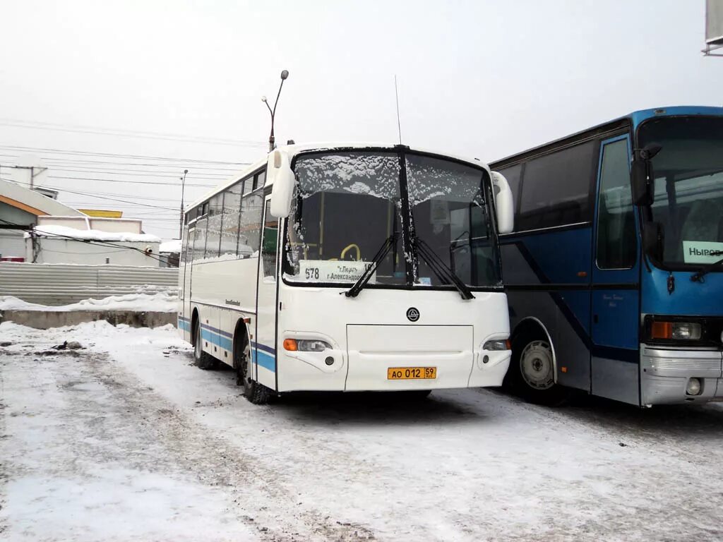 КАВЗ 4235-32. Автобус Пермь Александровск. Автобус Лысьва Пермь. Лысьва Екатеринбург автобус.