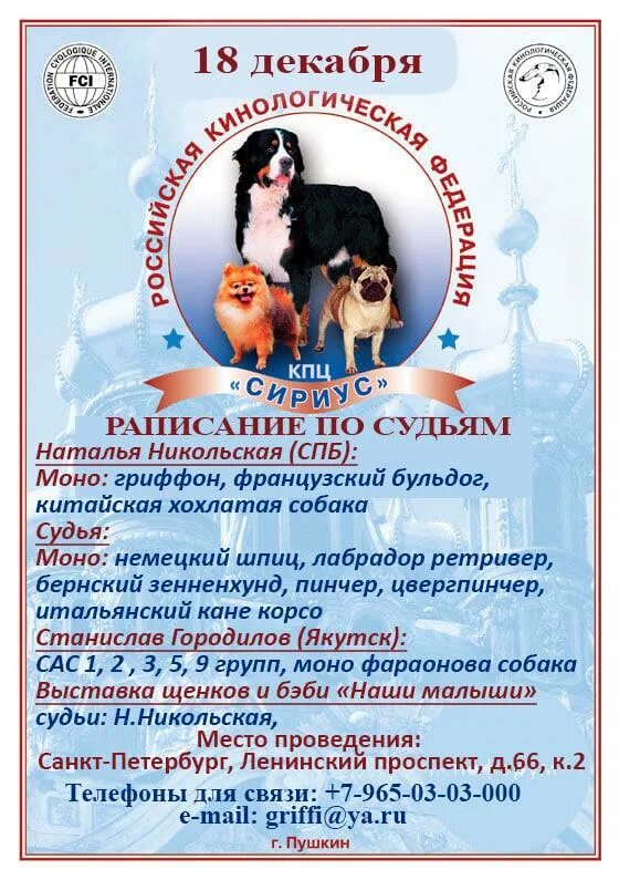 Выставки собак в санкт петербурге 2025 расписание. Название выставок собак. собачья выставка название. выставка собак афиша. выставка собак в спб.