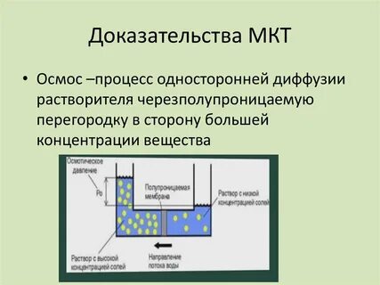 Доказательства мкт