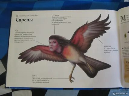 Слушать аудиокнигу хмелевской гарпии