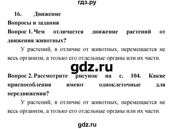 История 6 класс 15 16 параграф кратко. Биология пораграф16. Параграф 16 биология. Биология 6 класс параграф 16. Ответы по биологии 6 класс 16 параграф.