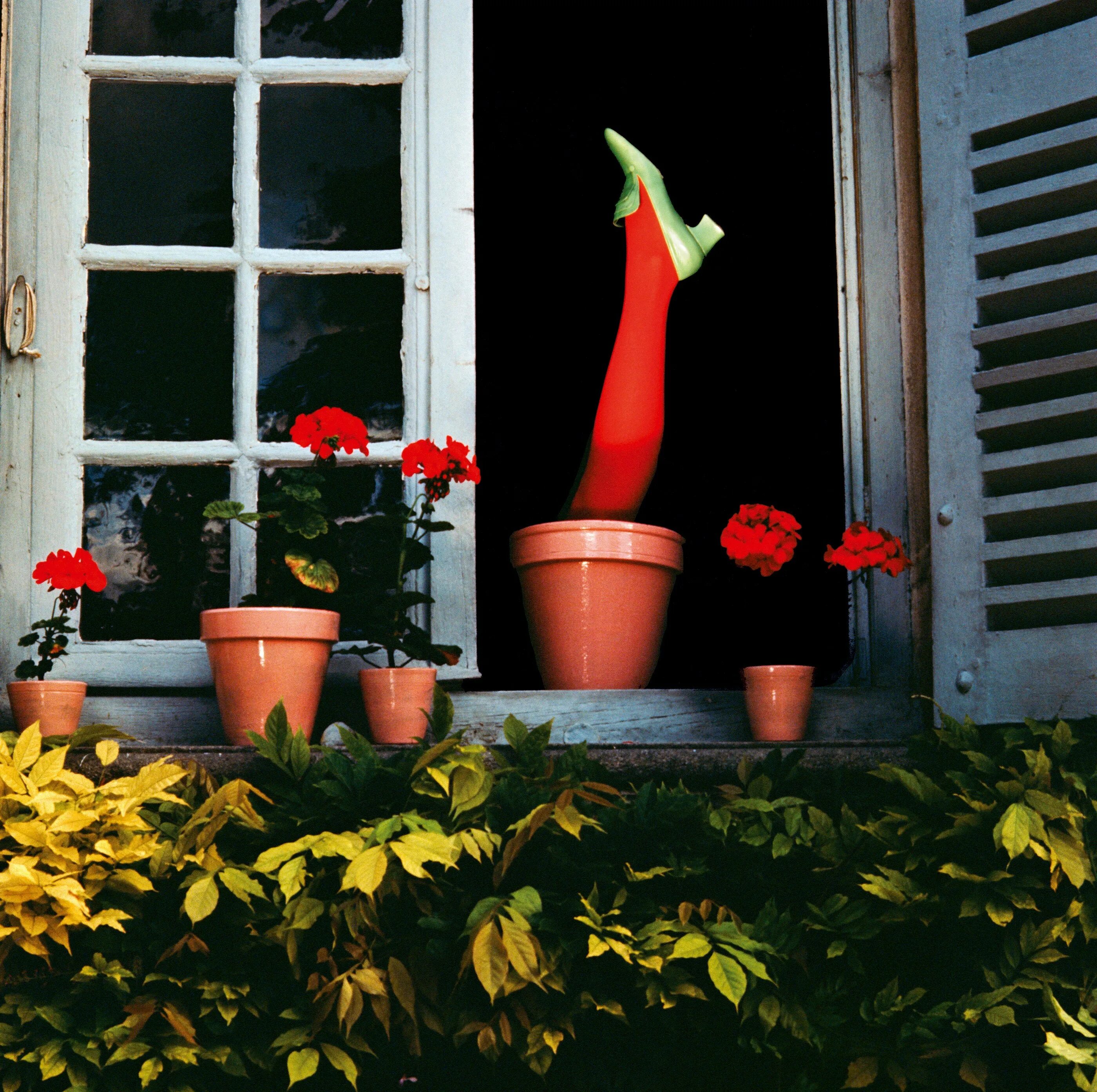 Гай бурден фотографии. Ги бурден. Ги бурден, франция, 1928–1991. Ги бурден charles jourdan. Ги бурден, франция, 1928–1991.