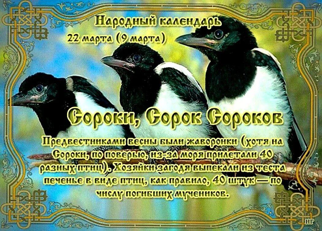 Когда сороки в 25 году. Сороки праздник открытки. сороки поздравления. с днем жаворонка поздравление. открытки с жаворонками поздравления.