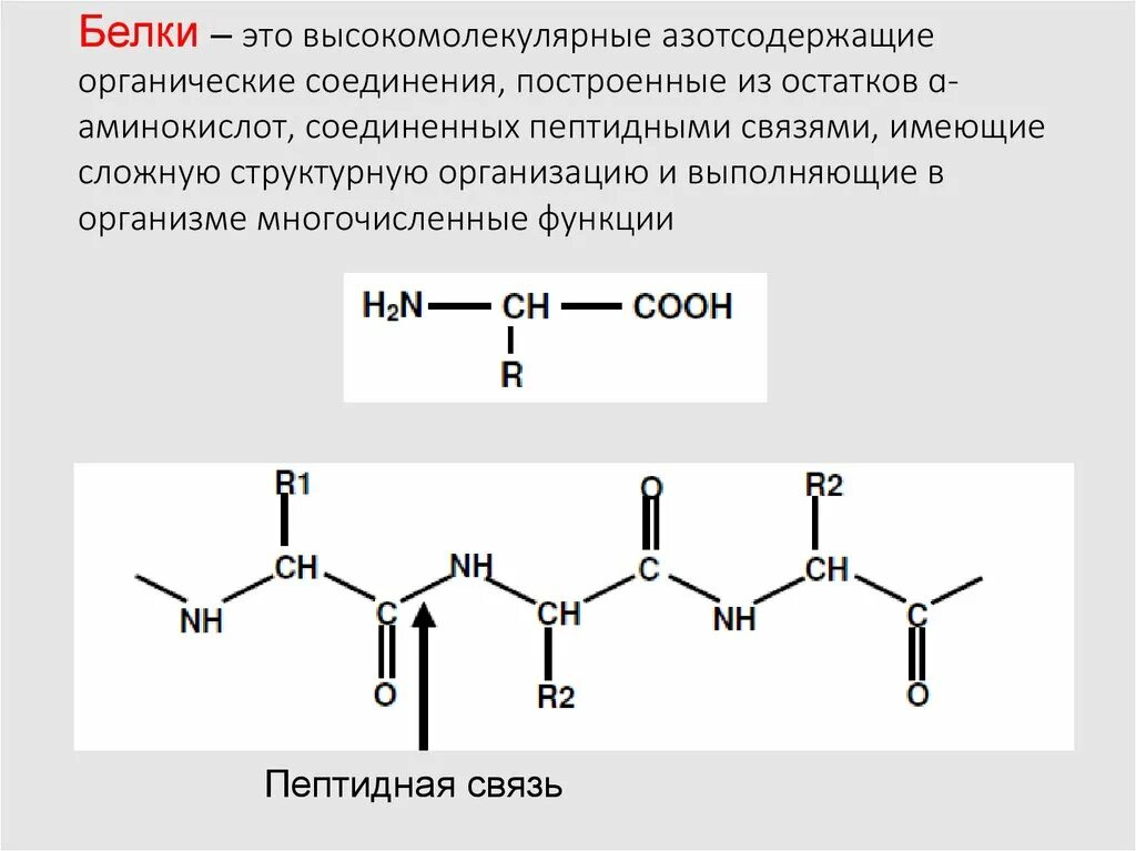 Белок высокомолекулярное соединение. Органические соединения белки. Белки это высокомолекулярные соединения. Белки высокомолекулярные органические соединения. Сложные органические азотсодержащие соединения.