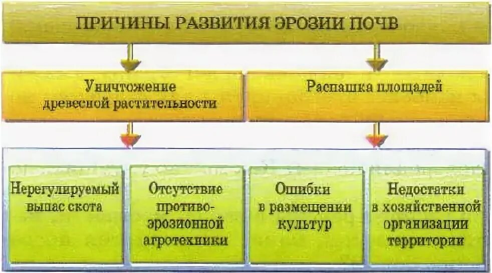 Эрозии причины возникновения почвы. Последствия эрозии почв. Типы водной эрозии. Эрозия почвы причины. Эрозия почвы.