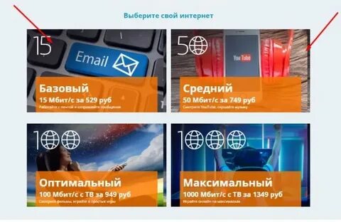 Сибирский медведь отзывы