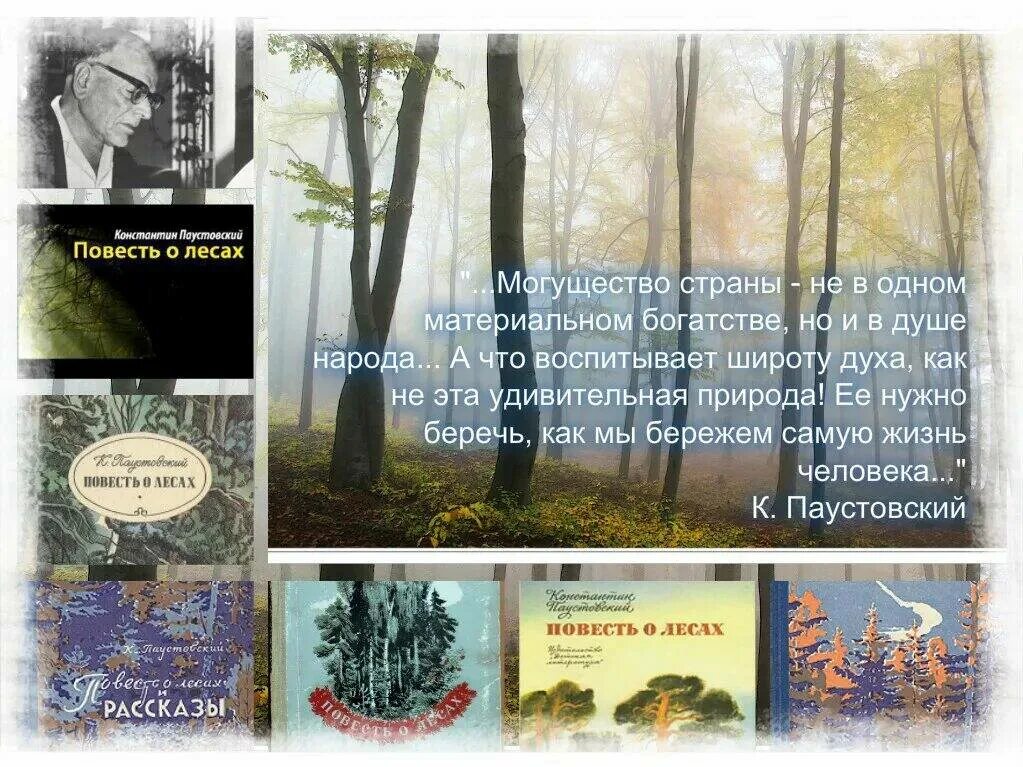 Берг текст паустовского. 31 Мая Паустовский. Паустовский книги о природе. Паустовский повесть о лесах. Паустовский книги коллаж.