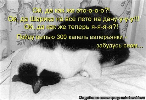 Живо пошел