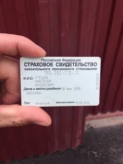 Снилс нового образца