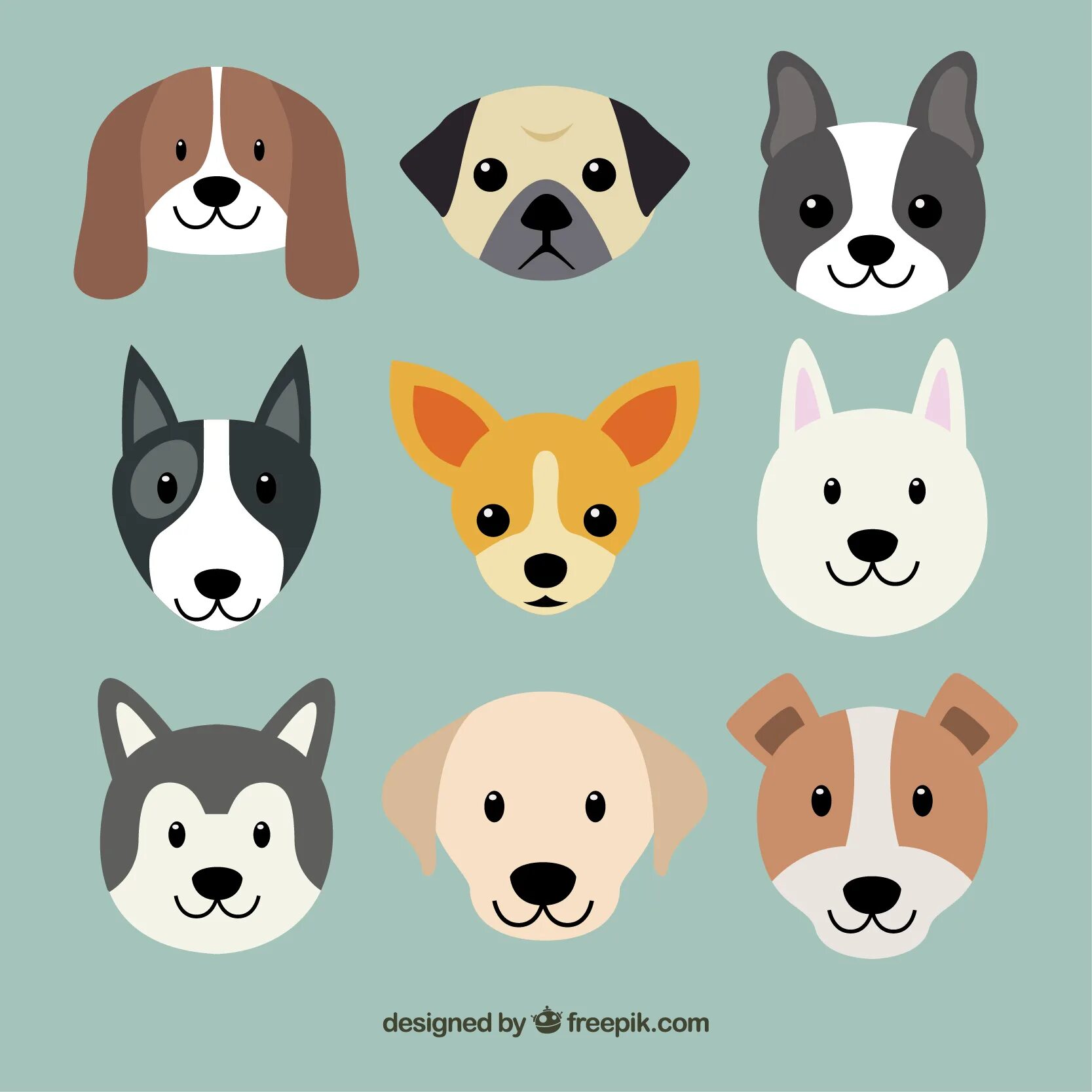 Flat dog