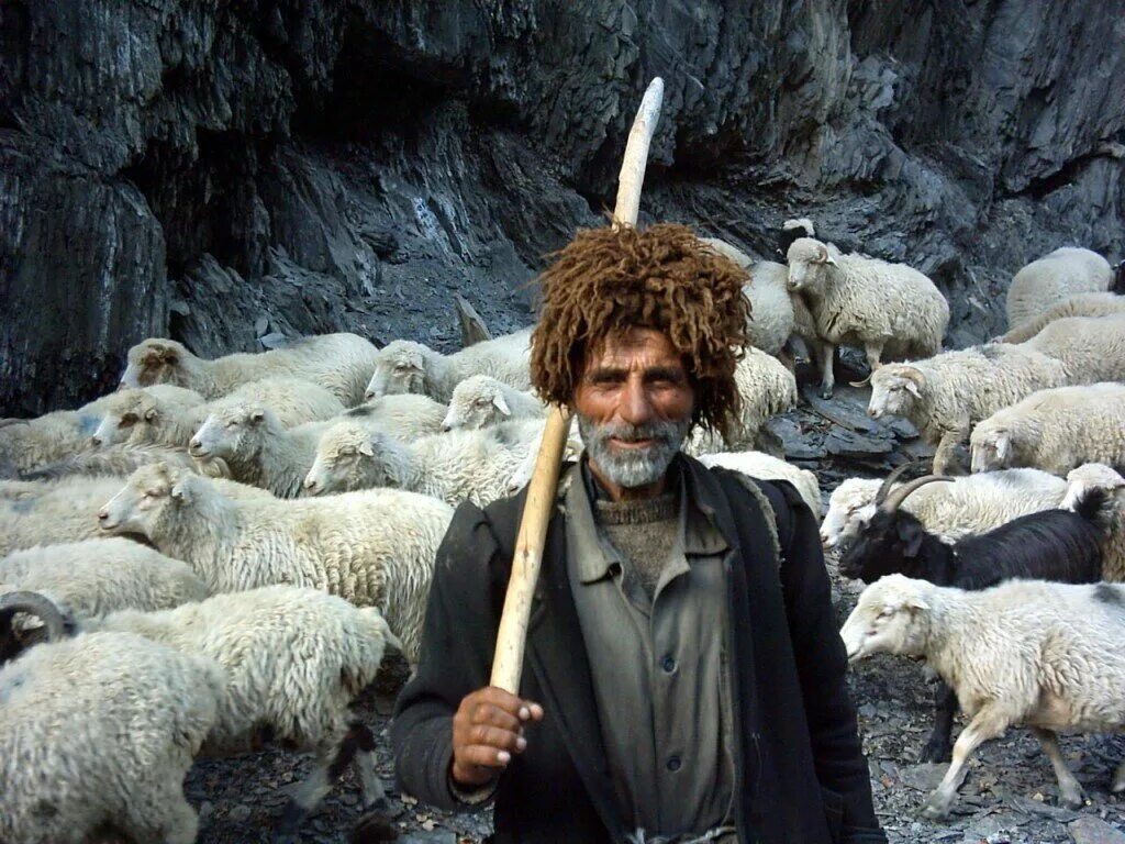 Люди ягнята. Чабаны в Грузии. Пастух Дагестан. Чабан пастух Кавказ. Чабан Дагестан пастух.