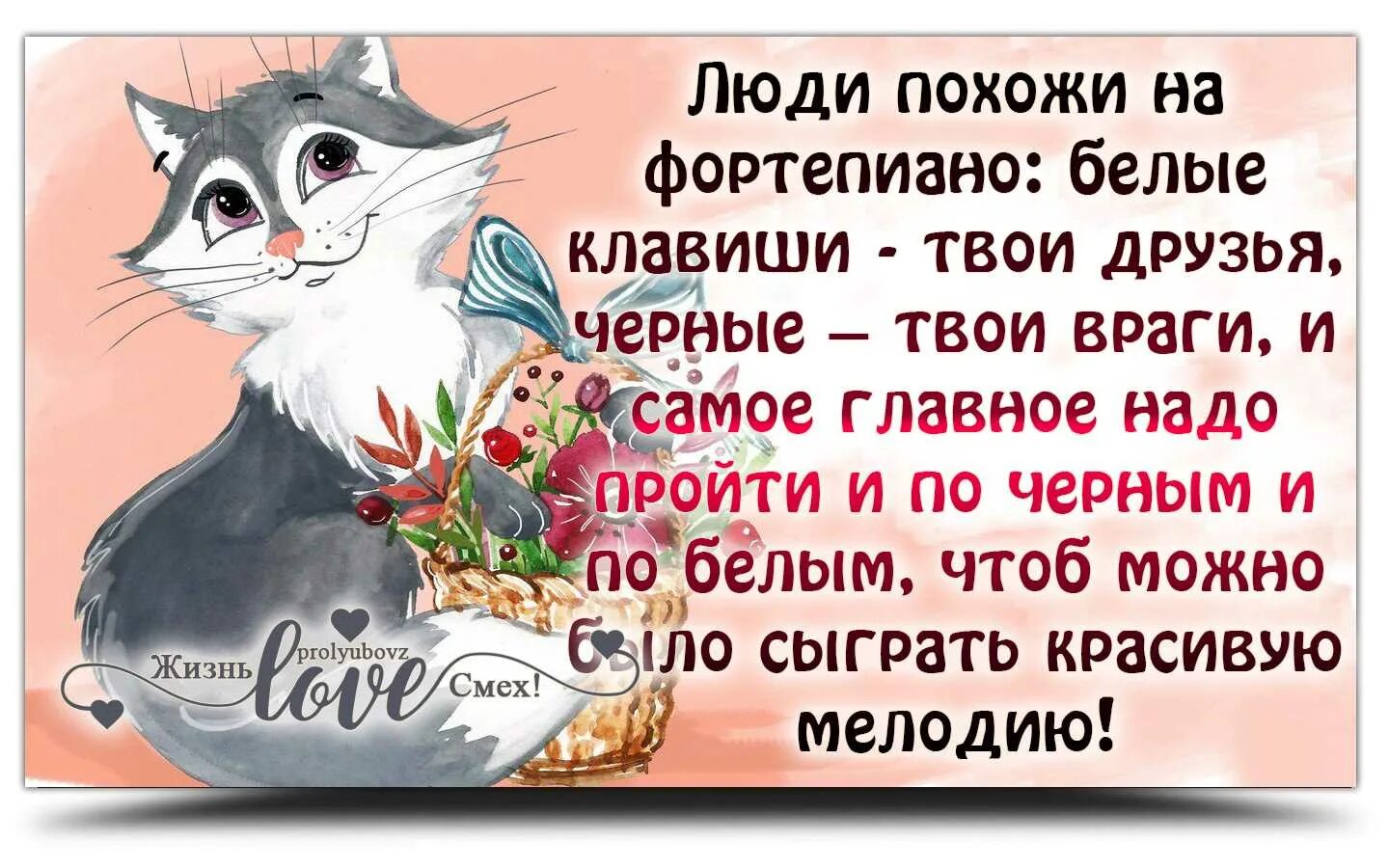 Красивый статус дня. Открытки со смыслом. интересные статусы в картинках. умные и веселые статусы. веселые позитивные статусы.