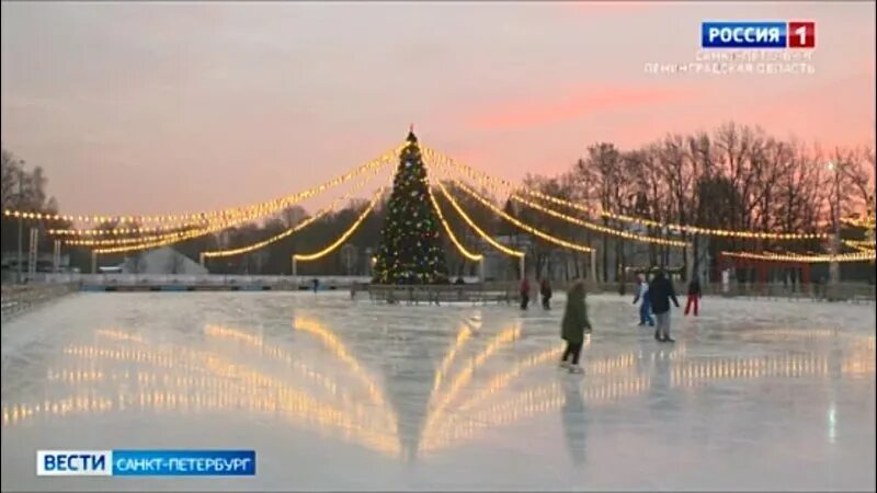 Каток на Елагином острове СПБ. Большой каток СПБ Елагин остров. Каток Крестовский остров СПБ. Каток Крестовский остров ЦПКИО.