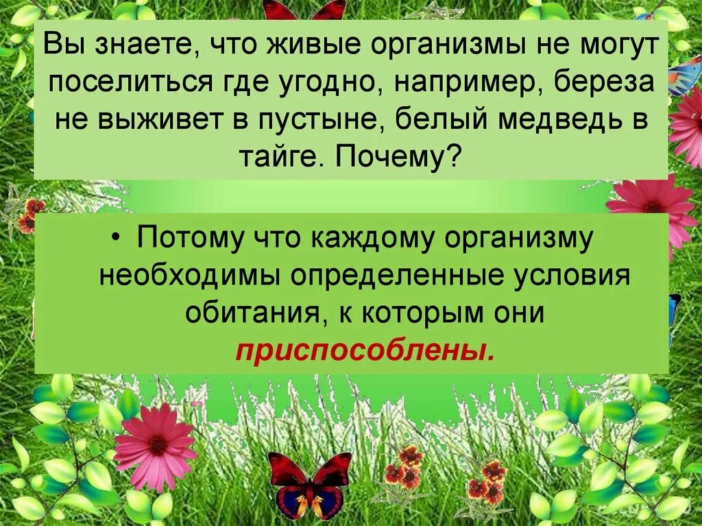 Что такое природное сообщество 5 класс кратко