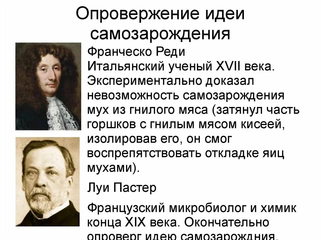 Гипотезы доказанные учеными. Кто опроверг гипотезу самозарождения жизни. Опровержение теории самозарождения. Гипотеза самопроизвольного зарождения жизни опровержение. Опровержение гипотезы самозарождения жизни.