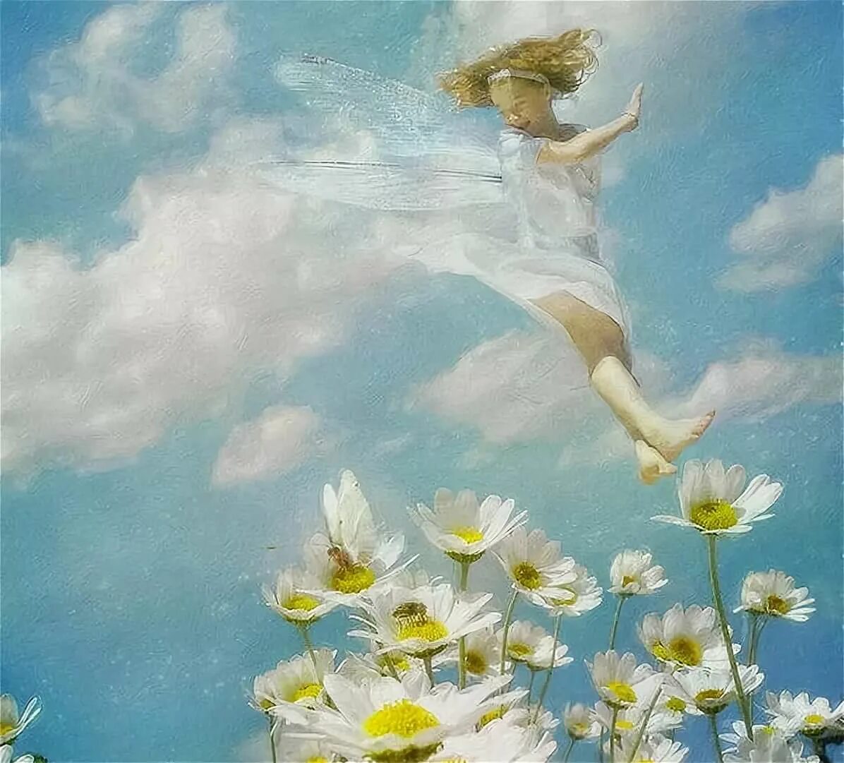 Ты летаешь далеко за пеленою грез. Художник Magdalena OWLL. Ромашки радость. Радостные картины.