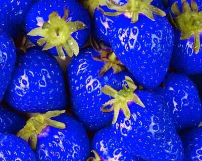 Blox fruits flowers