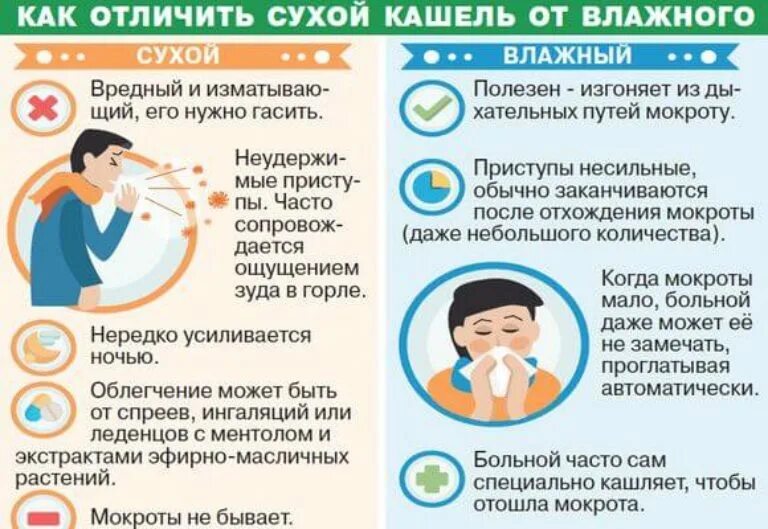 Что помогает от мокроты
