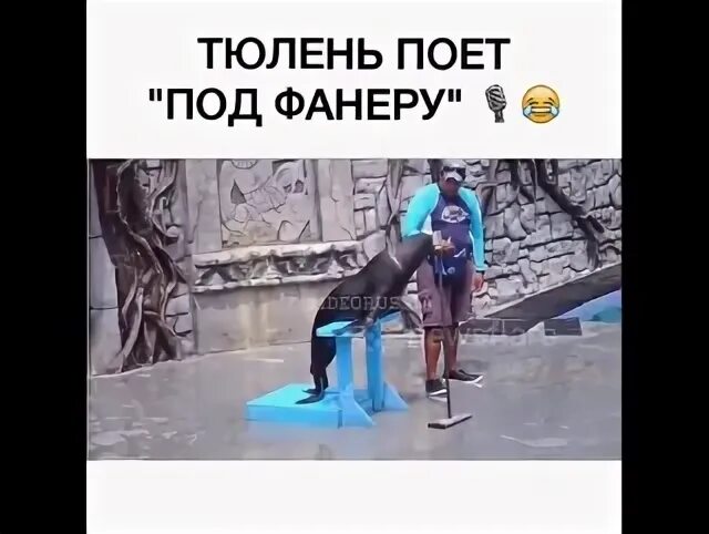 Поем под фанеру