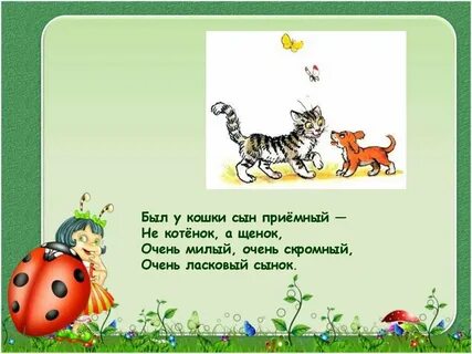 Был у кошки сын приемный стихотворение