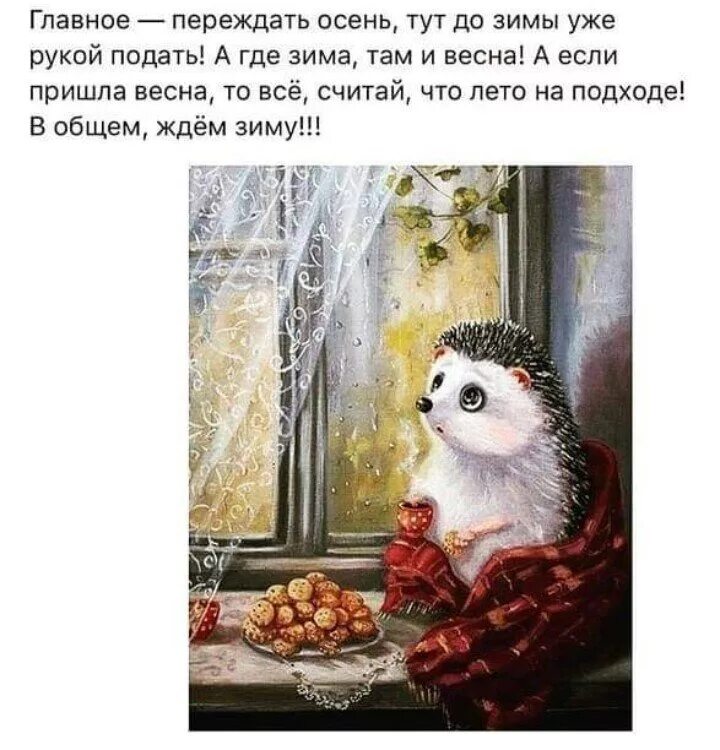 Почему ждешь зиму. Жду зиму. ждем зиму картинки. жду зиму картинки прикольные. чудеса уже на подходе.