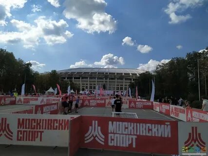 Лужники спорт