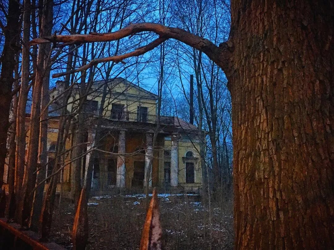 Усадьба орловых денисовых. Парк орловых денисовых спб. Усадьба орловых спб. Усадьба денисовых орловых в спб. Усадьба орловых в коломягах спб.