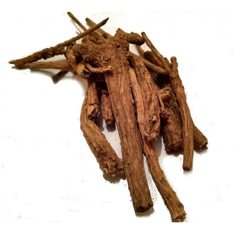 Scutellaria baicalensis root