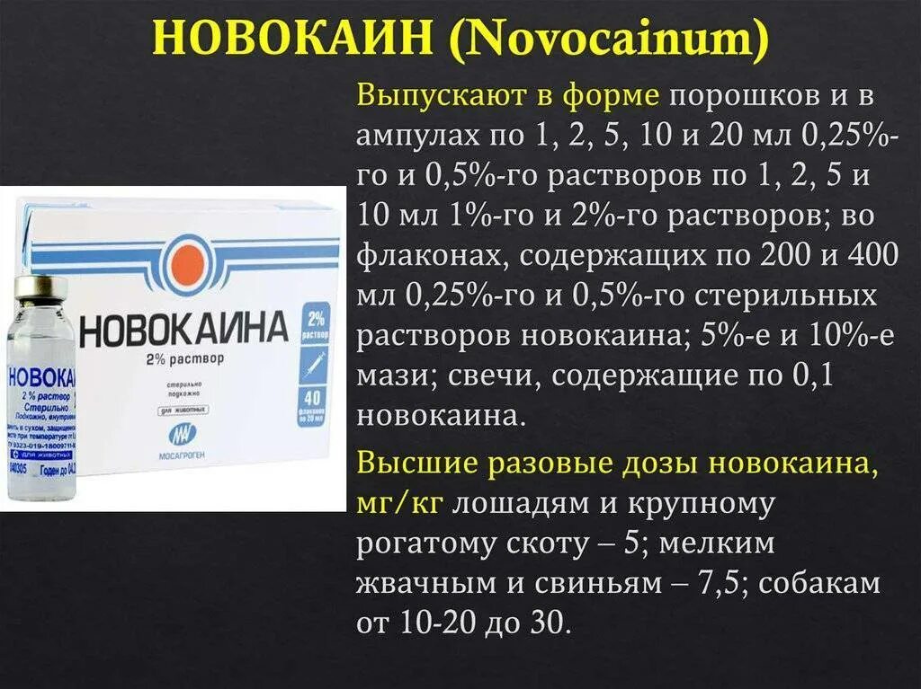 Новокаин лекарственные формы. Новокаин относится к группе препаратов. Новокаин фармакологические эффекты. Новокаин для внутривенного введения.