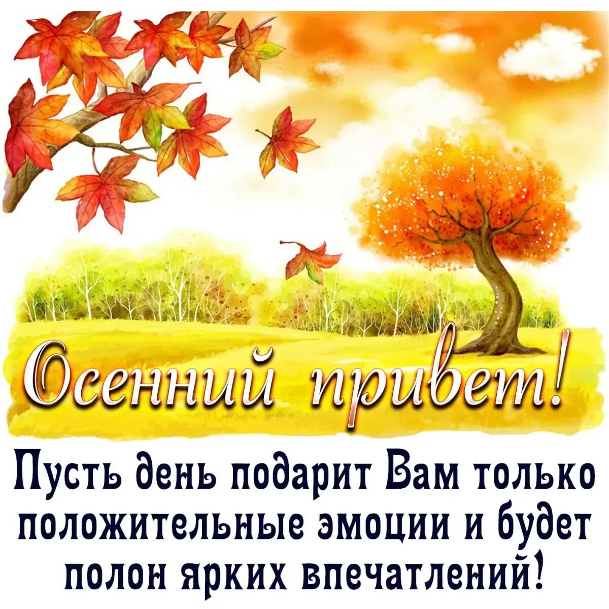 С осенью картинки с пожеланиями. Поздравления с хорошим осенним днем. Открытки с осенним днем. Осенний пейзаж с пожеланиями. Пожелание осеннего дня