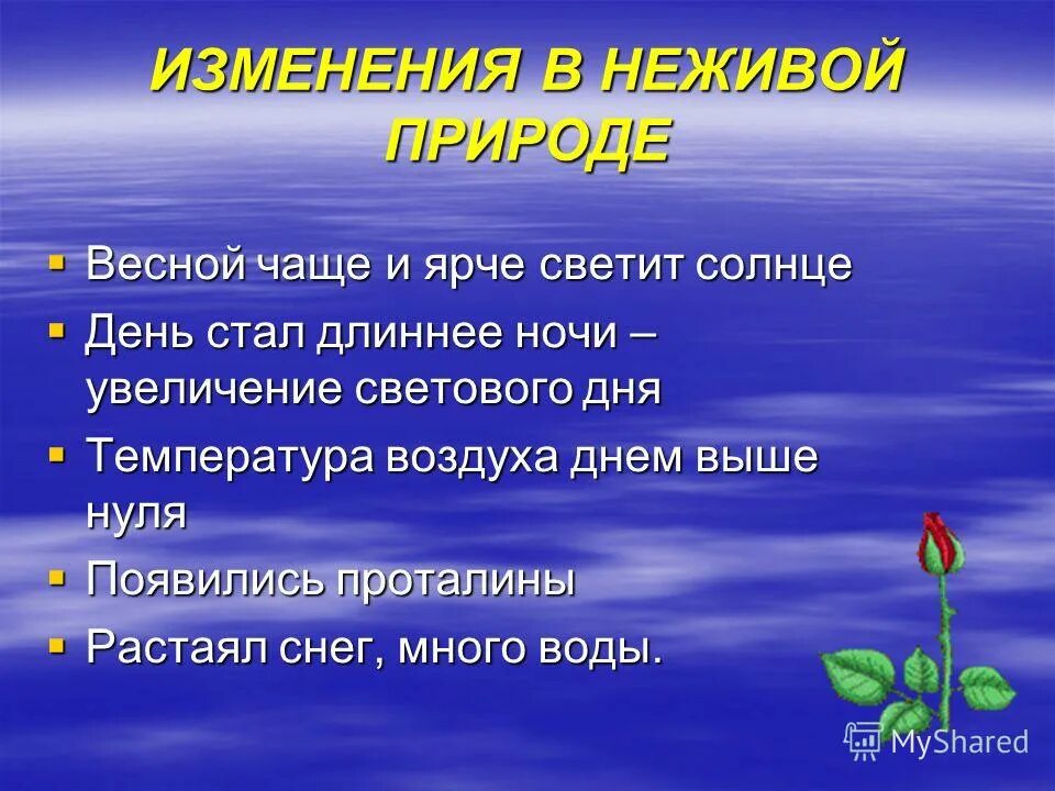 Изменения в живой природе весной. Изменения с приходом весны. Весенние изменения в природе дети. Сезонные изменения в живой природе. Весенние изменения в природе 2 класс.