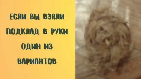 Что делать если нашел подклад