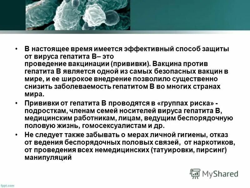 Самые распространенные инфекционные заболевания в мире