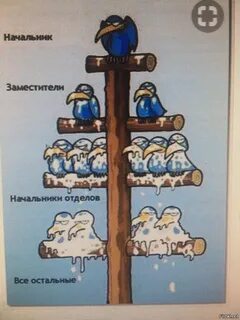 Правило курятника