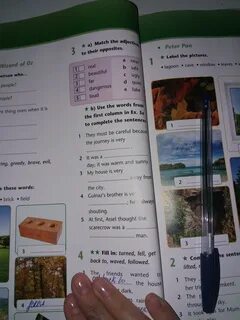 Use the sentences in ex
