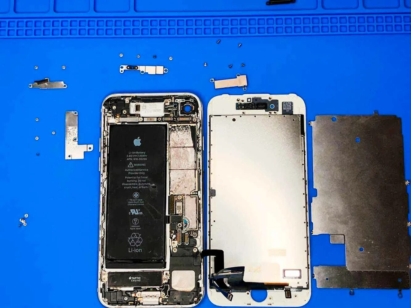 Как разобрать айфон 8. Разобранный айфон 7. разбор дисплея iphone 7. iphone 7 disassembly.