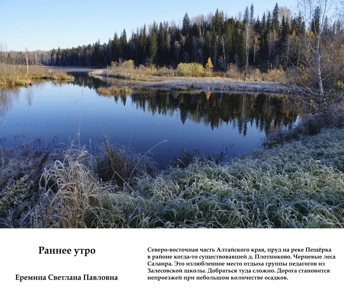 Погода в салаире на неделю. Черневые леса Салаира. Салаир заказник. Салаир водоемы. Озеро цветное в Салаир.