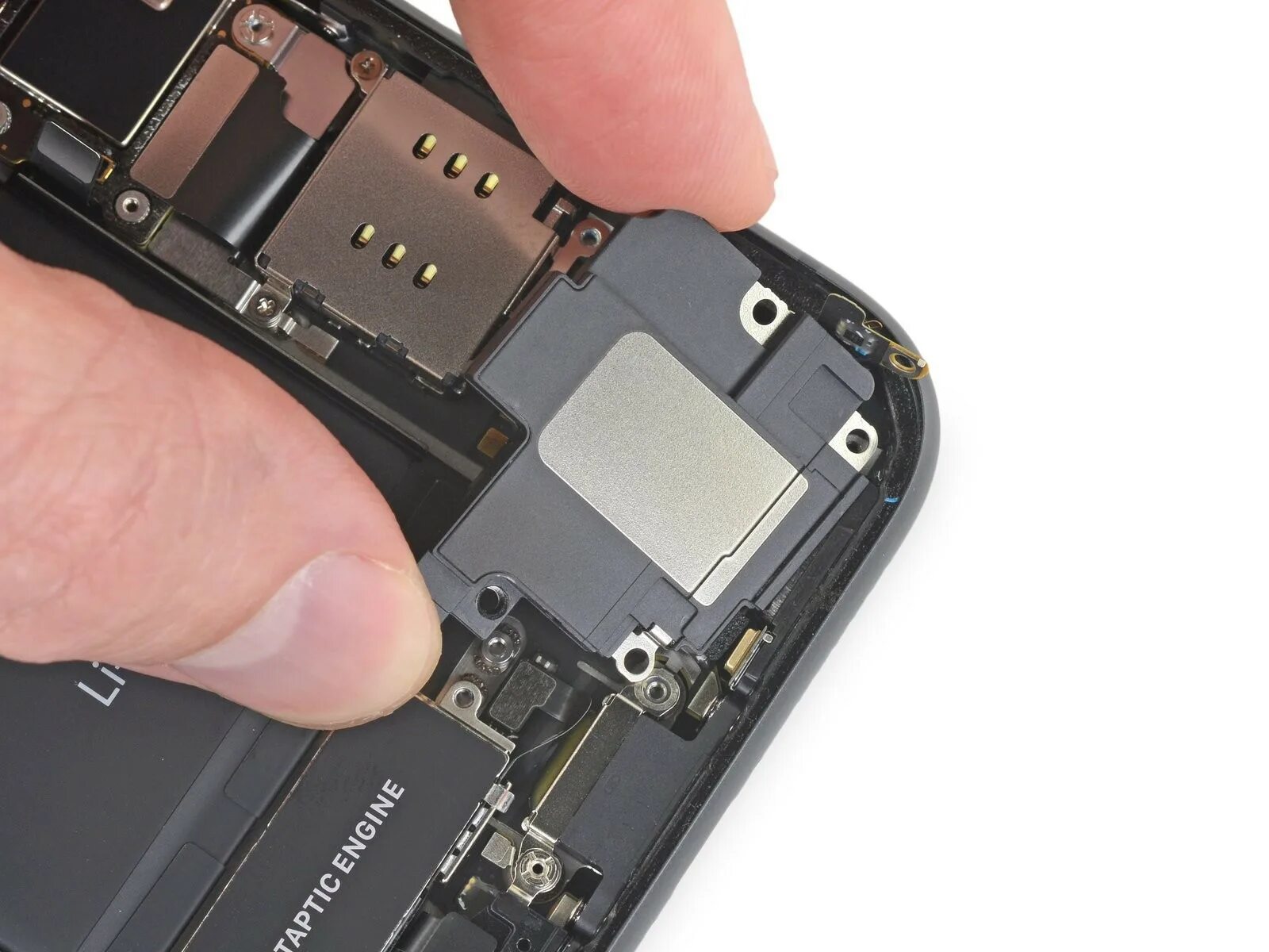 Динамик для iphone 11. Не работают нижние динамики айфон. Не работают нижние динамики айфон. Айфон 5s в разборе. Нижний динамик на айфон 6 s.