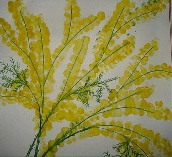 рисование мимозы ватными палочками. ветка мимозы ватными палочками. нетрадиционное рисование мимоза. веточка мимозы ватными палочками. мимоза рисование ватными палочками.