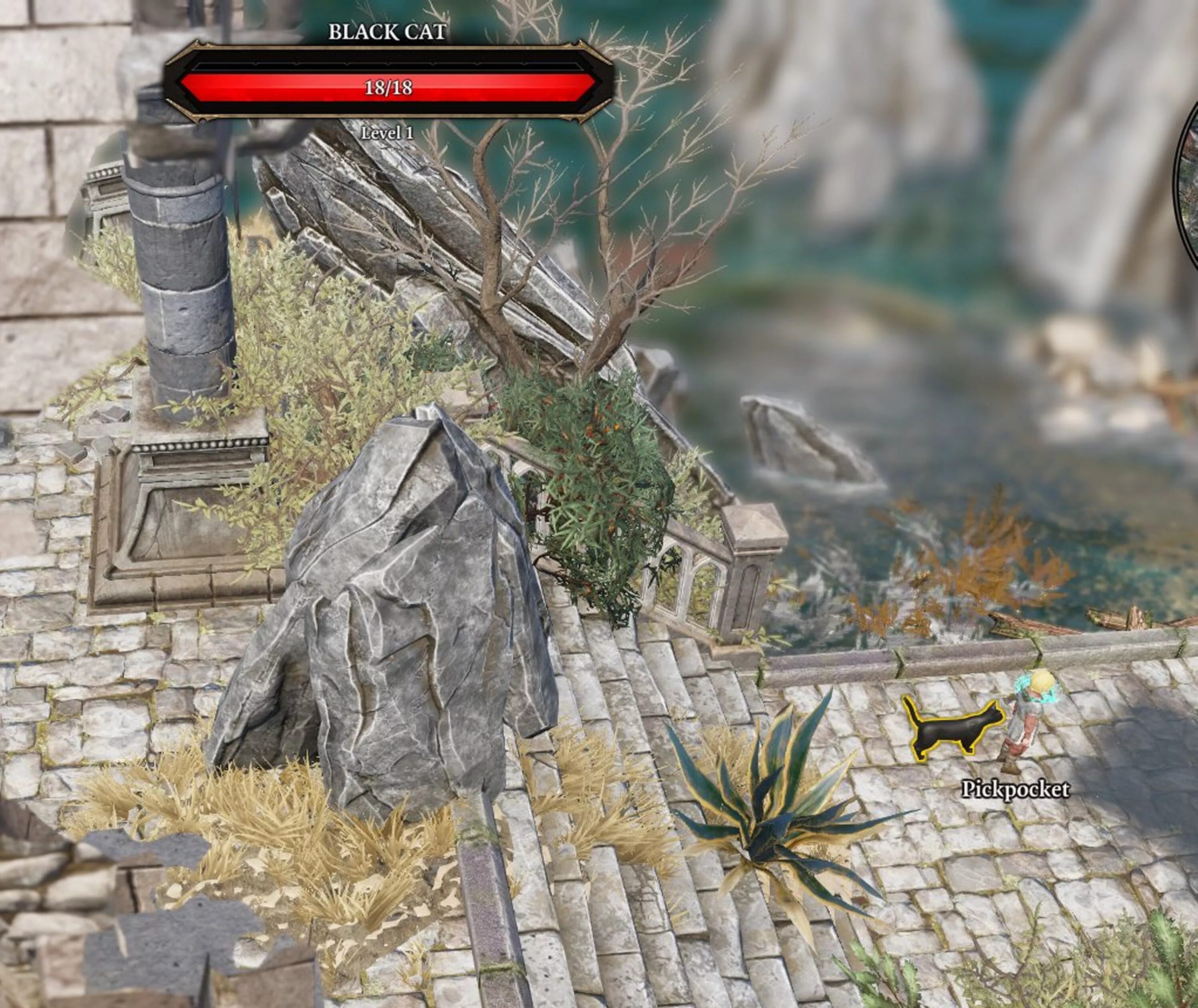 Divine cat art. Дивинити кошка. Divinity 2 черный кот. Divinity original sin 2 безлюдные топи. Divinity original sin 2 black cat.