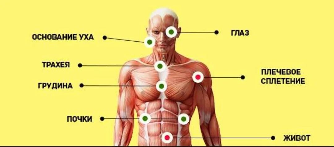 Где находится картинки. Уязвимые болевые точки на теле человека. Слабые точки человека на теле. Болевые точки на теле человека для самообороны. Самые больные точки человека.