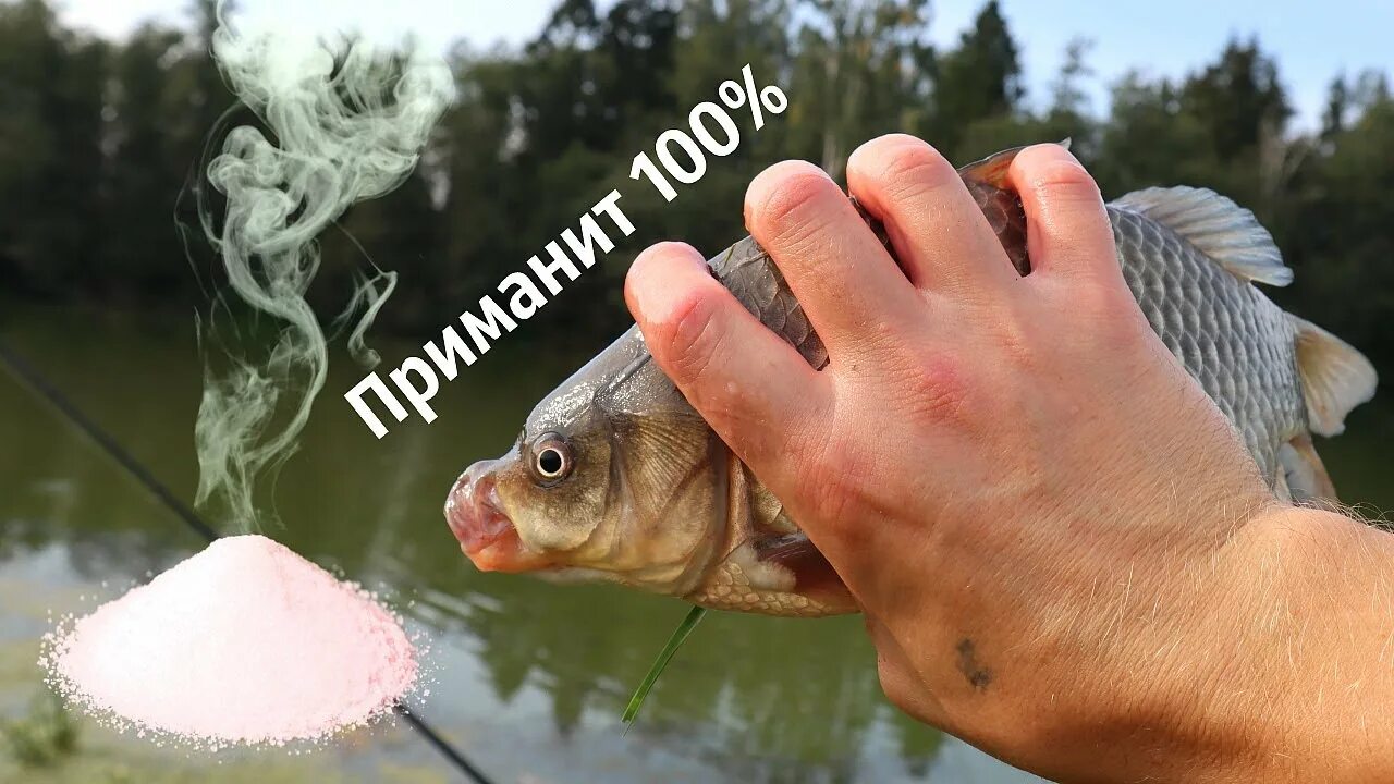 Карась любит запах. Запахи, которые любит карась. что любит карась. любимый запах карася. любимые запахи карася весной.