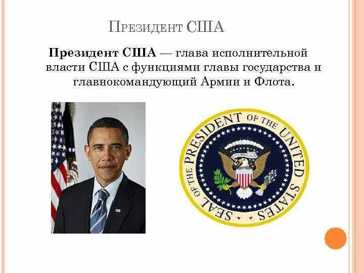 Глава исполнительной власти в США. Статус президента США. Функции президента США.