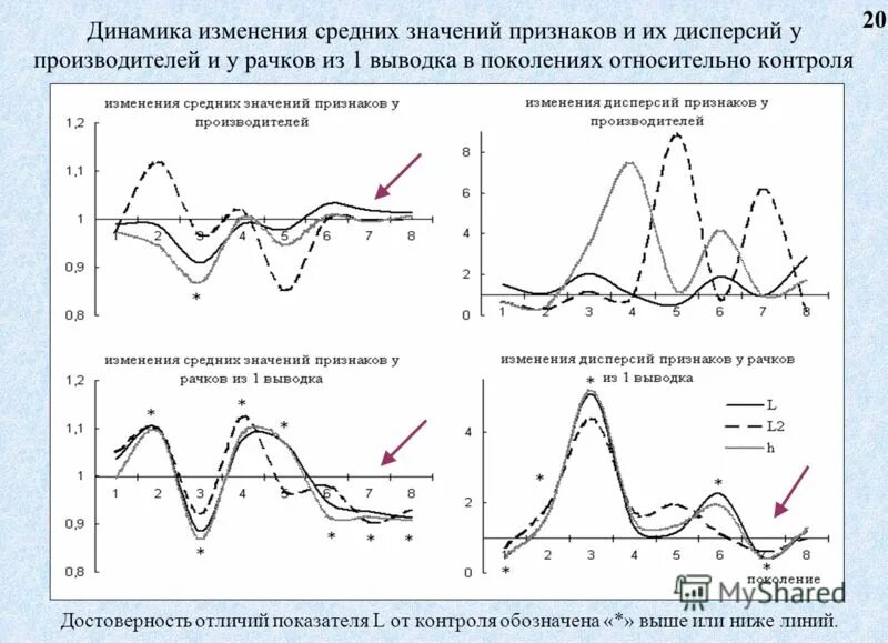 Динамика изменения дефектов. Для презентации динамика изменения. Динамика изменения состояния кости человека. Приводящие к изменению среднего значения. Динамика без изменений