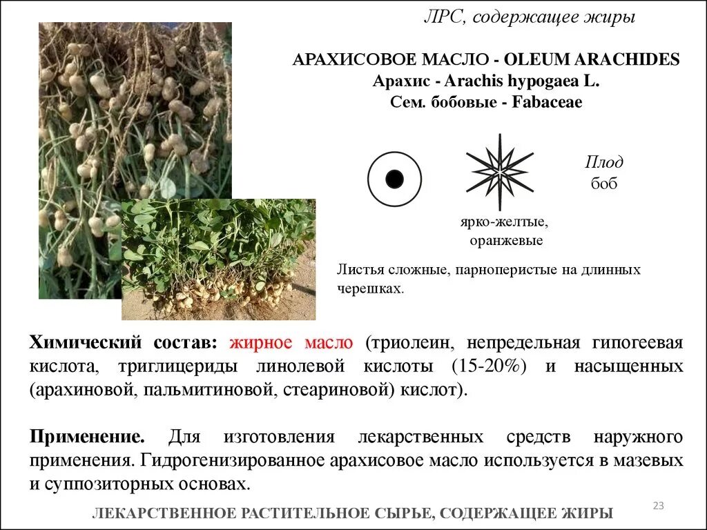 Список лекарственного растительного сырья
